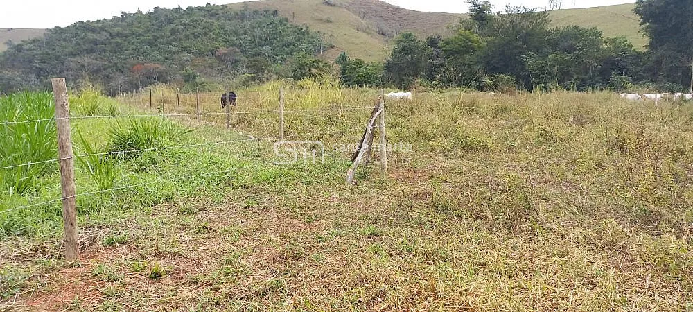 Sítio, 2 quartos, 65 hectares - Foto 1