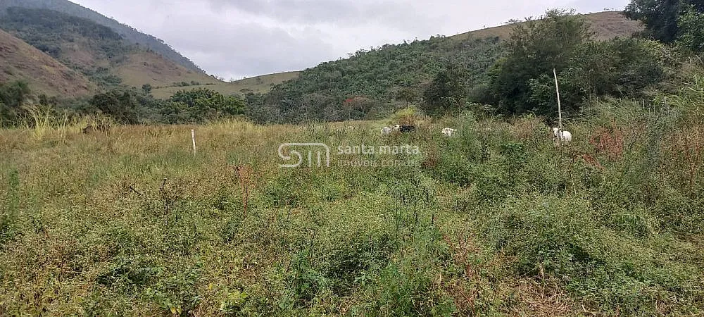 Sítio, 2 quartos, 65 hectares - Foto 6