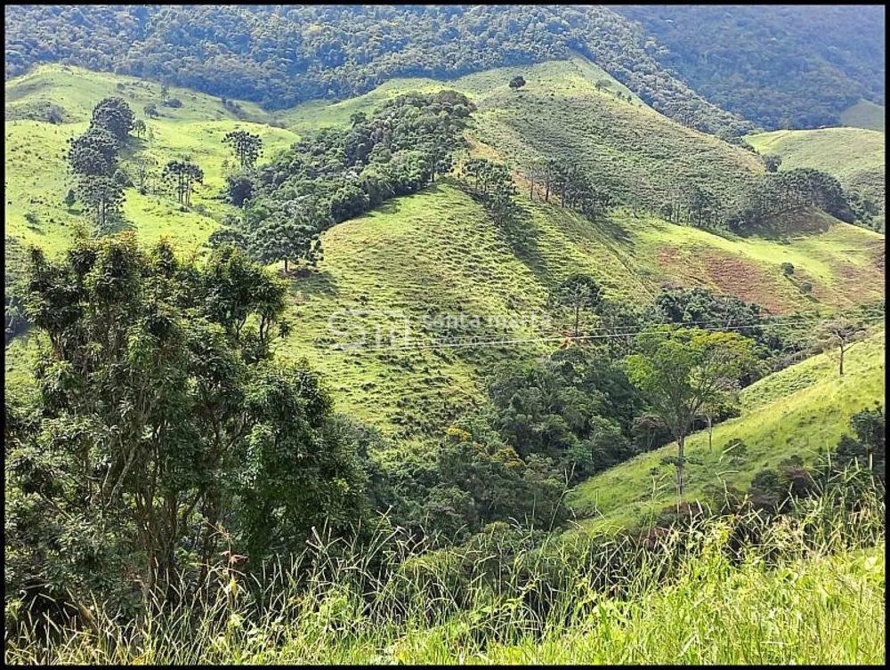 Fazenda, 78 hectares - Foto 4