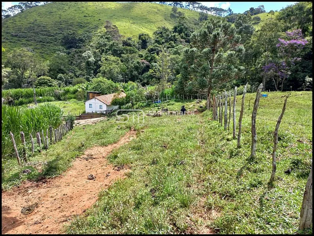 Fazenda, 78 hectares - Foto 10