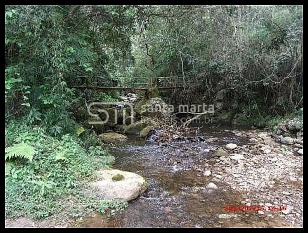 Fazenda, 78 hectares - Foto 3