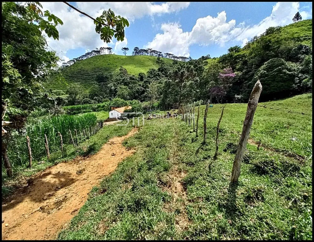 Fazenda, 78 hectares - Foto 8