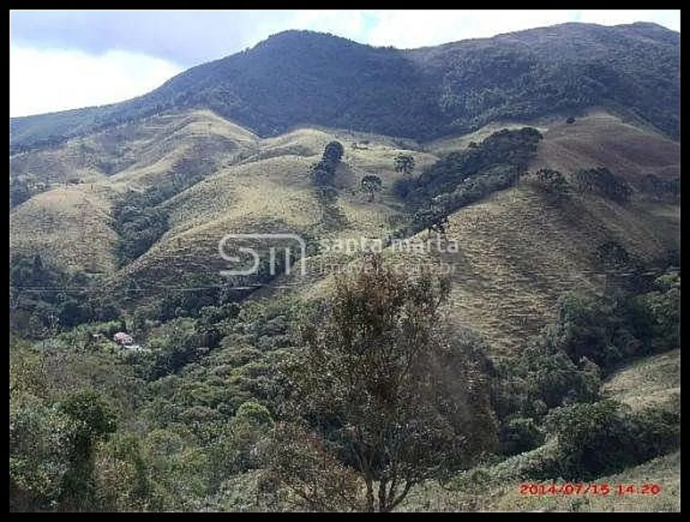 Fazenda, 78 hectares - Foto 4
