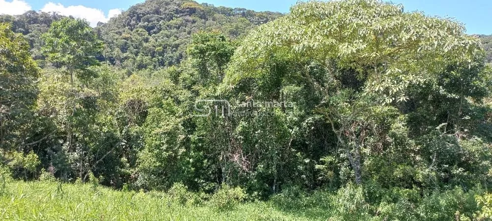 Fazenda à venda com 3 quartos, 100m² - Foto 12