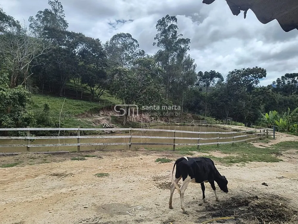 Sítio, 3 quartos, 24 hectares - Foto 1