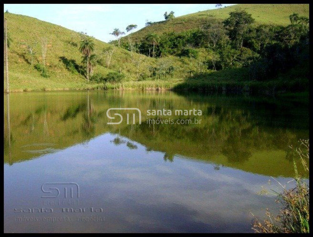 Fazenda, 46 hectares - Foto 3