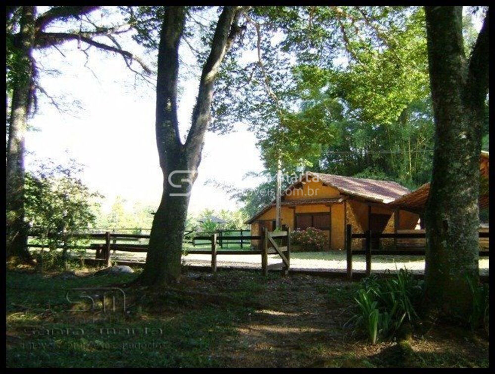 Fazenda, 46 hectares - Foto 6