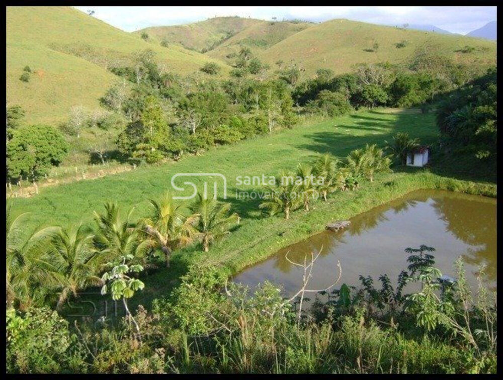 Fazenda, 46 hectares - Foto 11