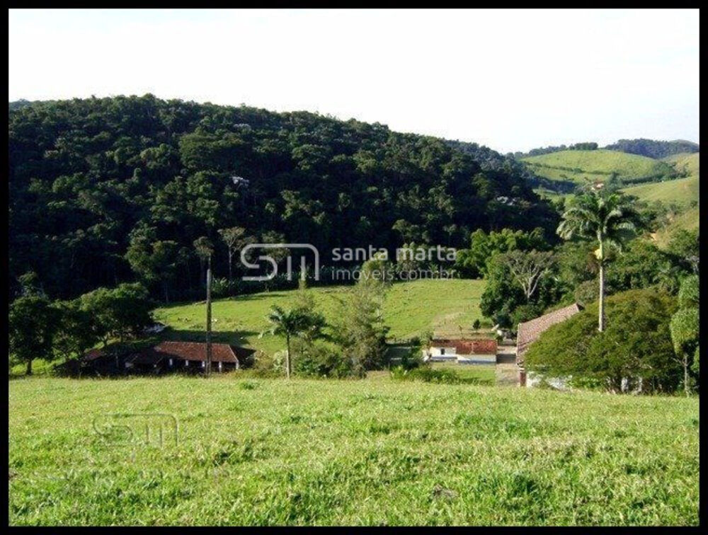 Fazenda, 46 hectares - Foto 10
