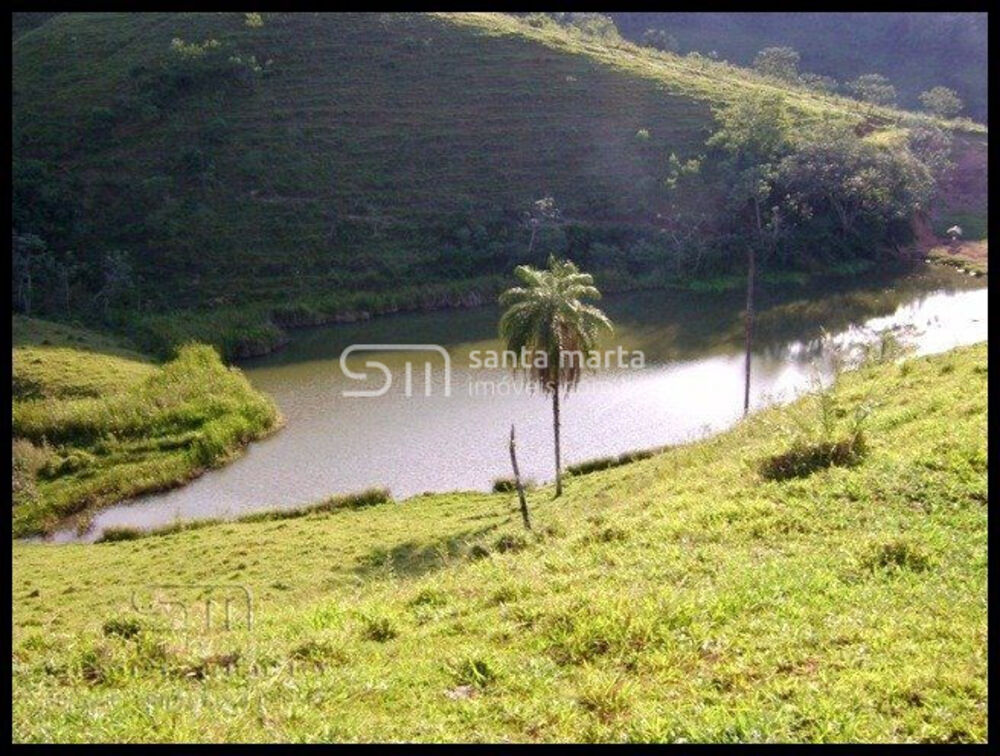 Fazenda, 46 hectares - Foto 2