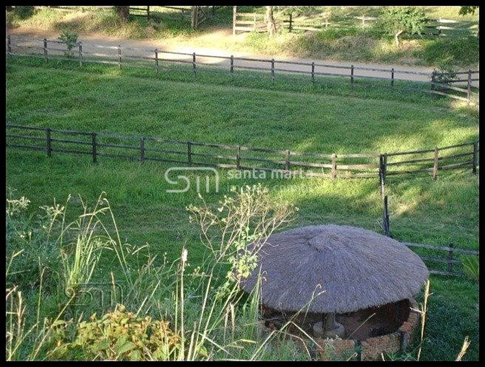 Fazenda, 46 hectares - Foto 10
