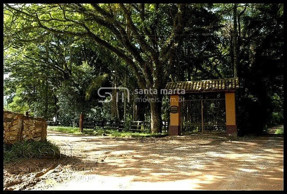 Fazenda, 46 hectares - Foto 11