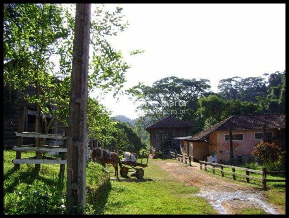 Fazenda, 46 hectares - Foto 8