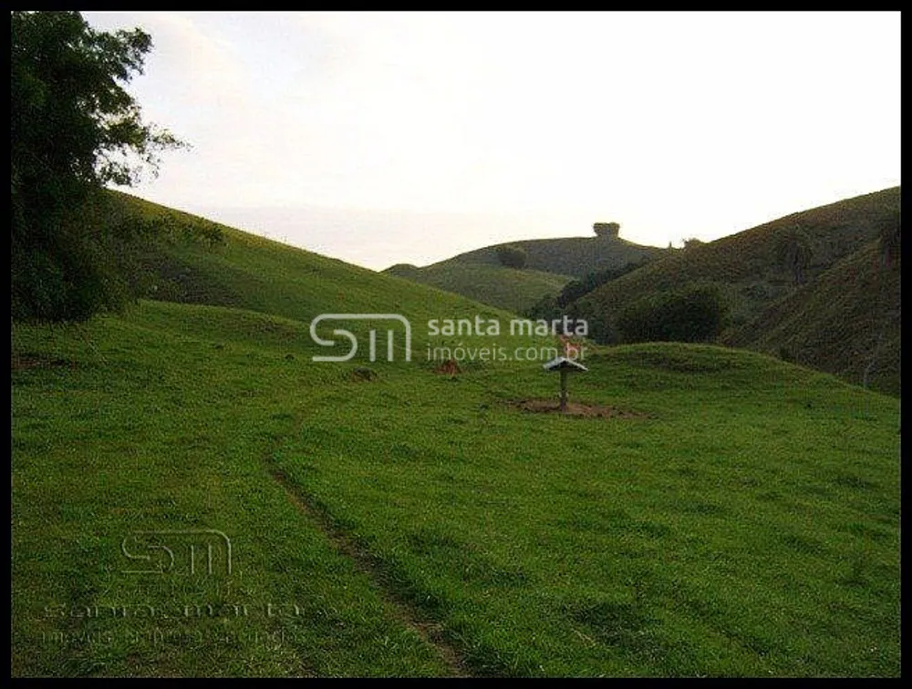 Fazenda, 46 hectares - Foto 9