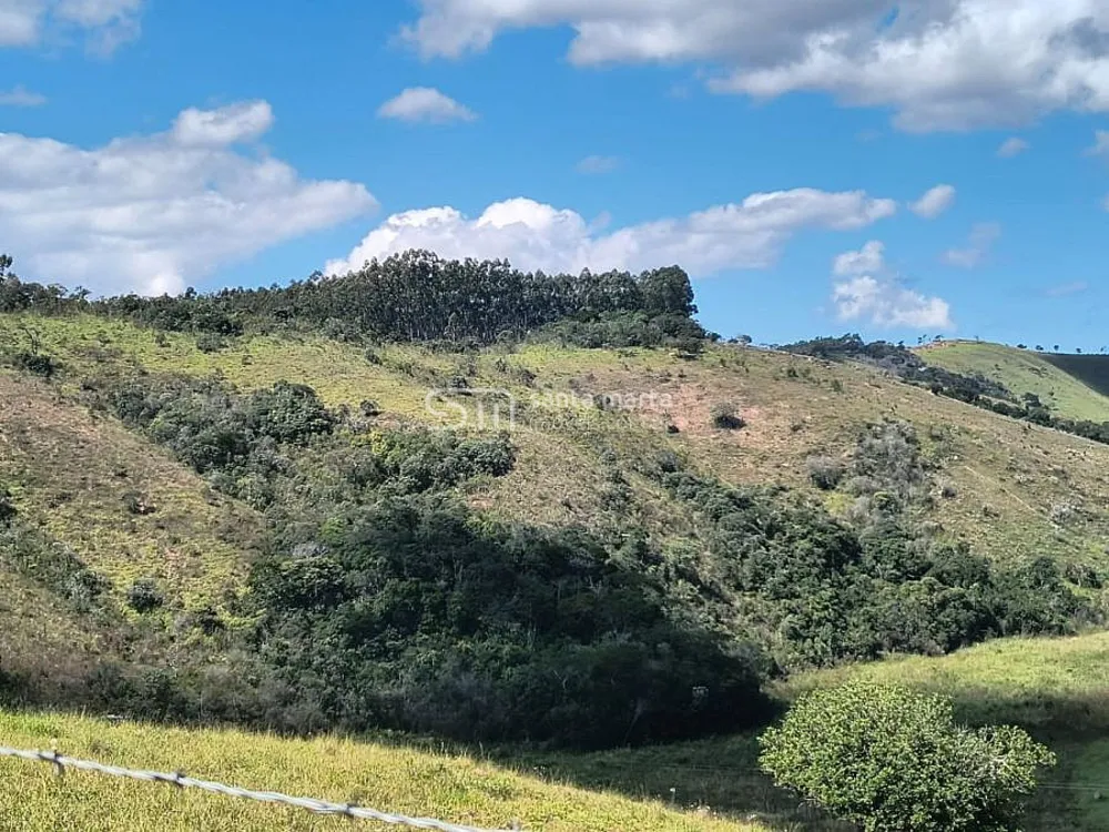 Sítio, 3 quartos, 17 hectares - Foto 11