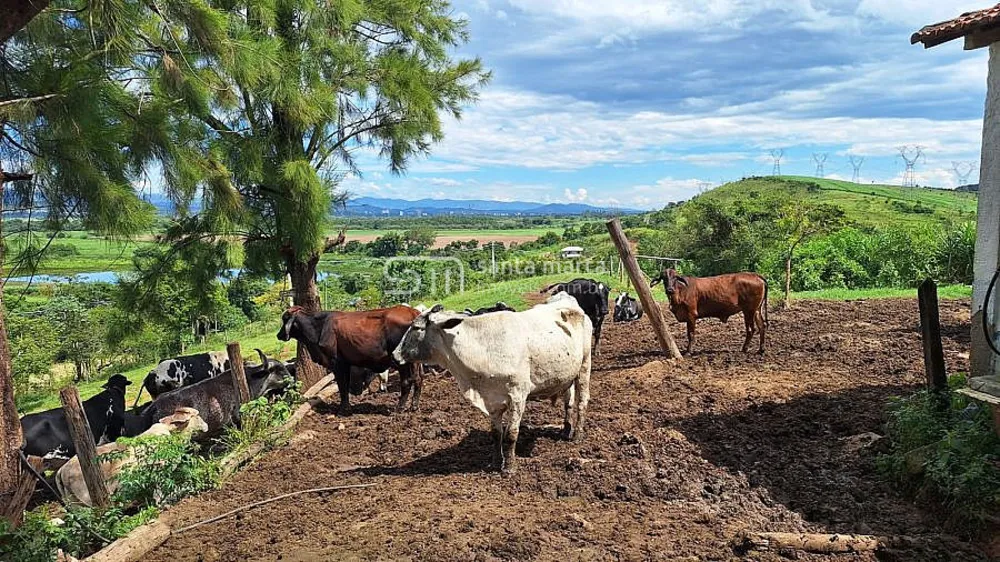Fazenda, 38 hectares - Foto 10
