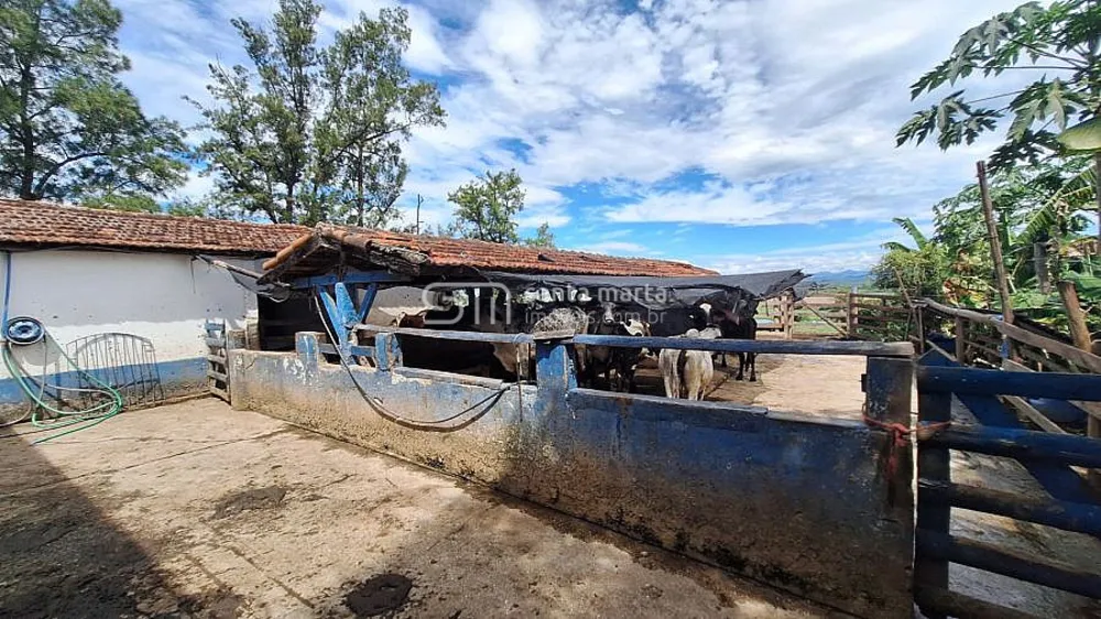 Fazenda, 38 hectares - Foto 9