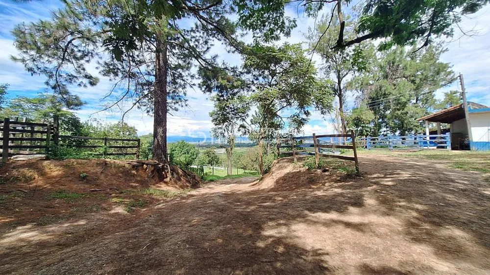 Fazenda, 38 hectares - Foto 8