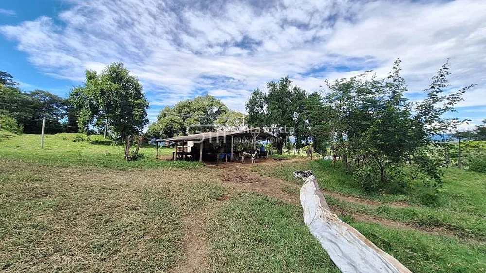 Fazenda, 38 hectares - Foto 11