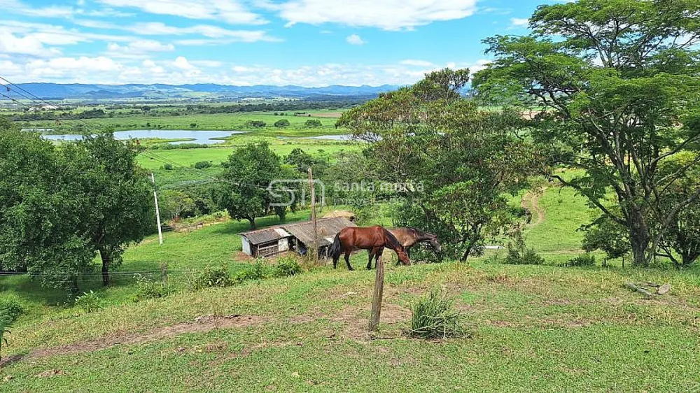 Fazenda, 38 hectares - Foto 12