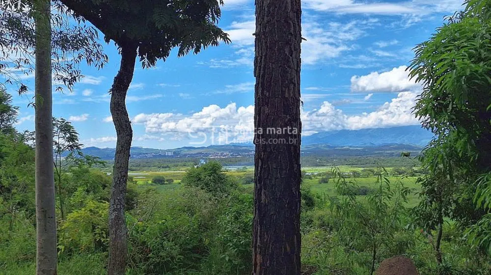 Fazenda, 38 hectares - Foto 7