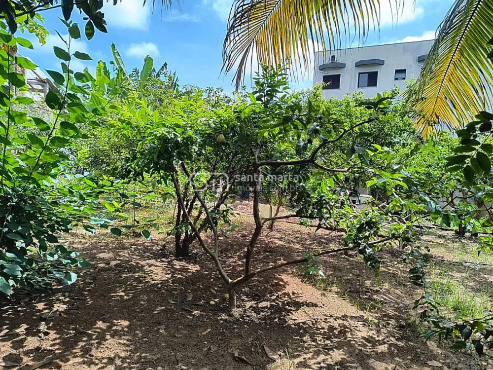 Terreno, 3750 m² - Foto 3