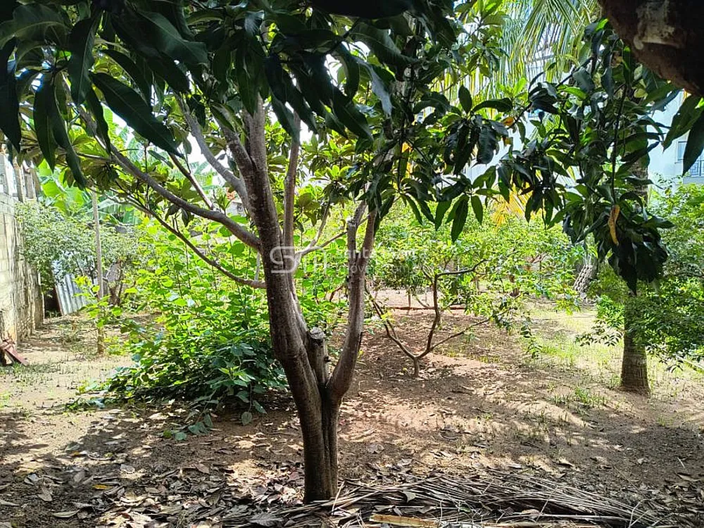 Terreno, 3750 m² - Foto 8