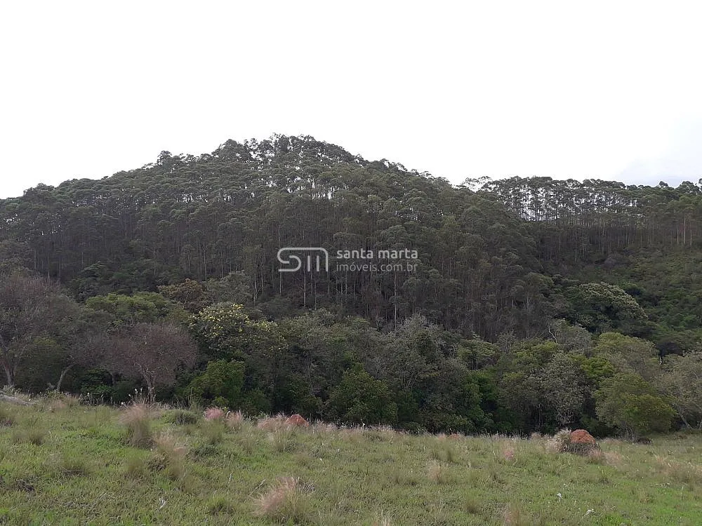 Fazenda, 194 hectares - Foto 1