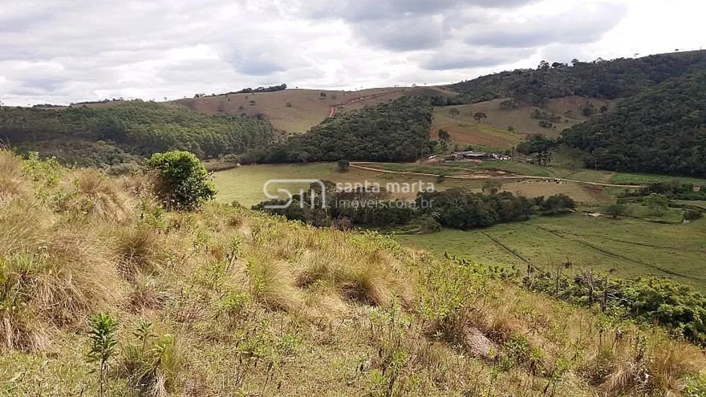 Fazenda, 194 hectares - Foto 2