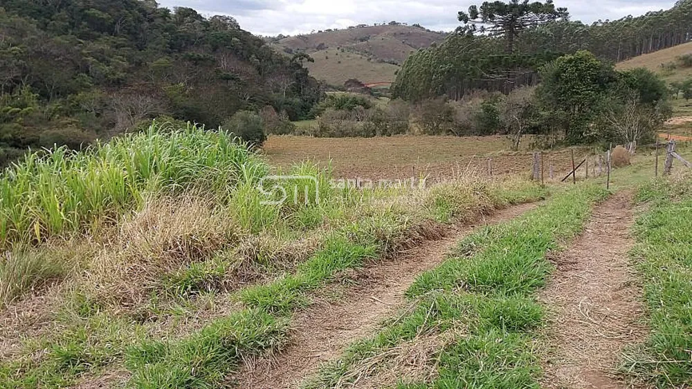 Fazenda, 194 hectares - Foto 5
