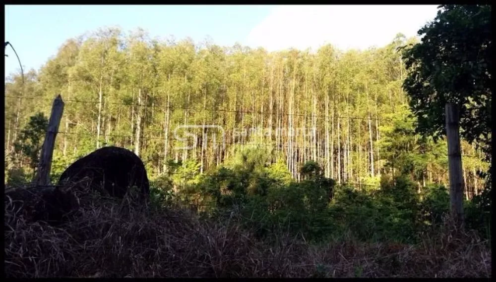 Fazenda à venda, 300m² - Foto 1