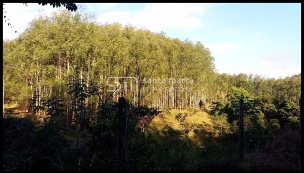 Fazenda à venda, 300m² - Foto 3