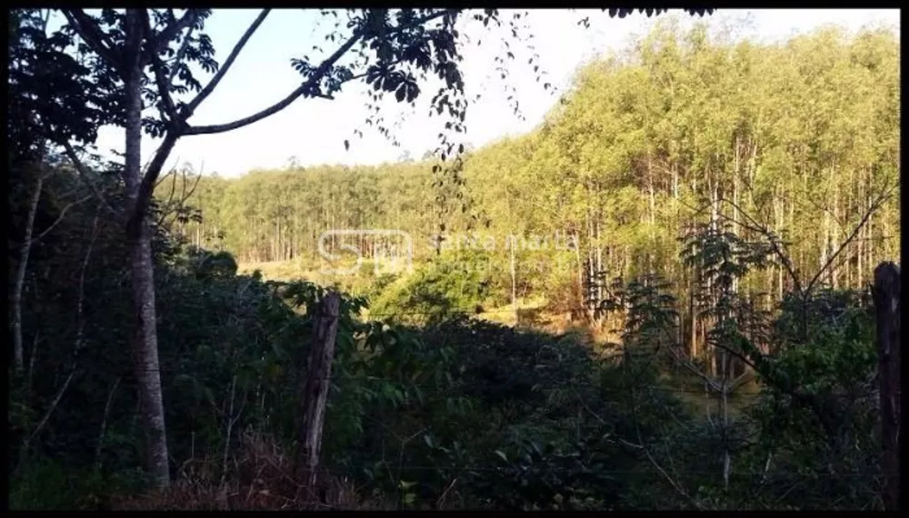 Fazenda à venda, 300m² - Foto 2