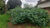 Terreno, 720 m² - Foto 4