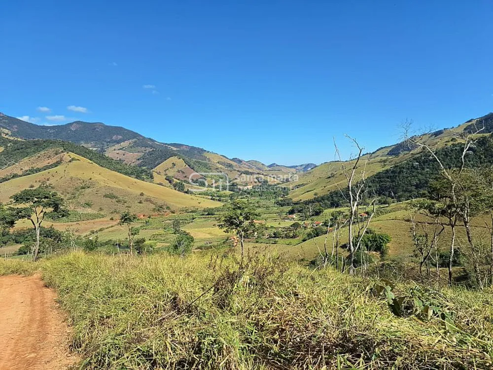 Fazenda, 72 hectares - Foto 4