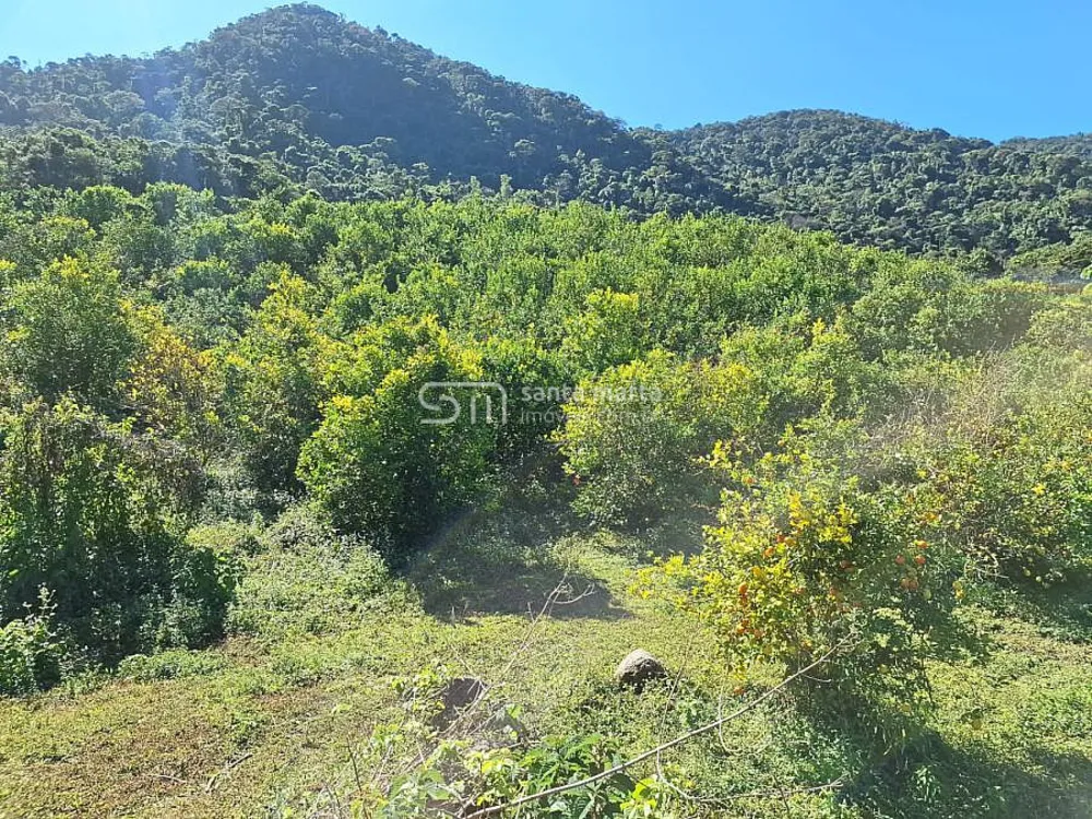 Fazenda, 72 hectares - Foto 4