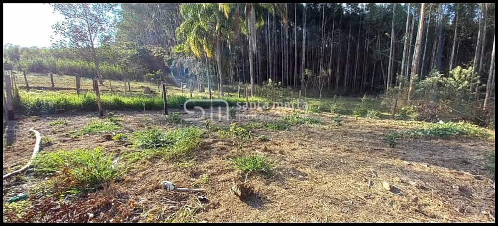 Chácara, 1 quarto, 2400 m² - Foto 3