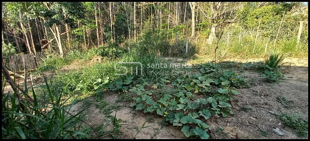 Chácara, 1 quarto, 2400 m² - Foto 5