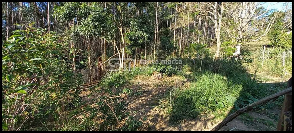 Chácara, 1 quarto, 2400 m² - Foto 4