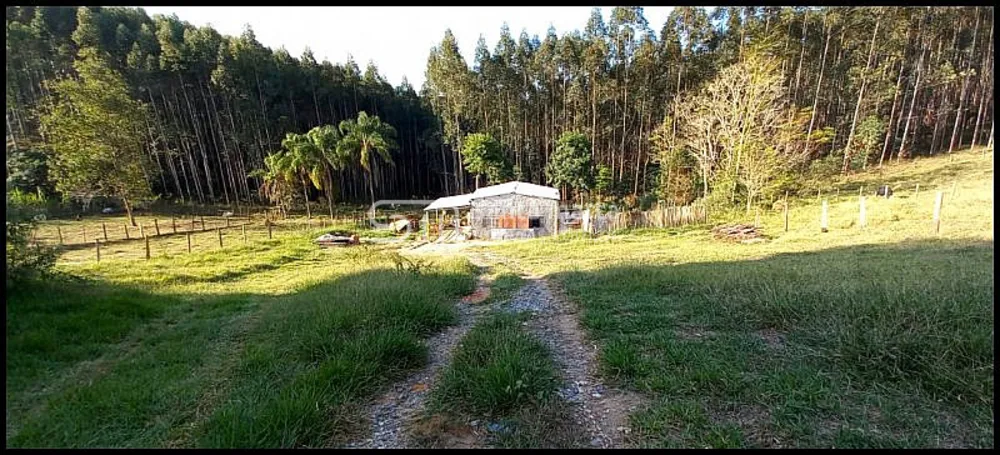 Chácara, 1 quarto, 2400 m² - Foto 1