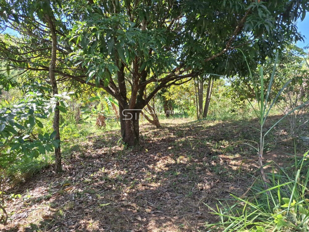 Sítio à venda, 280m² - Foto 46