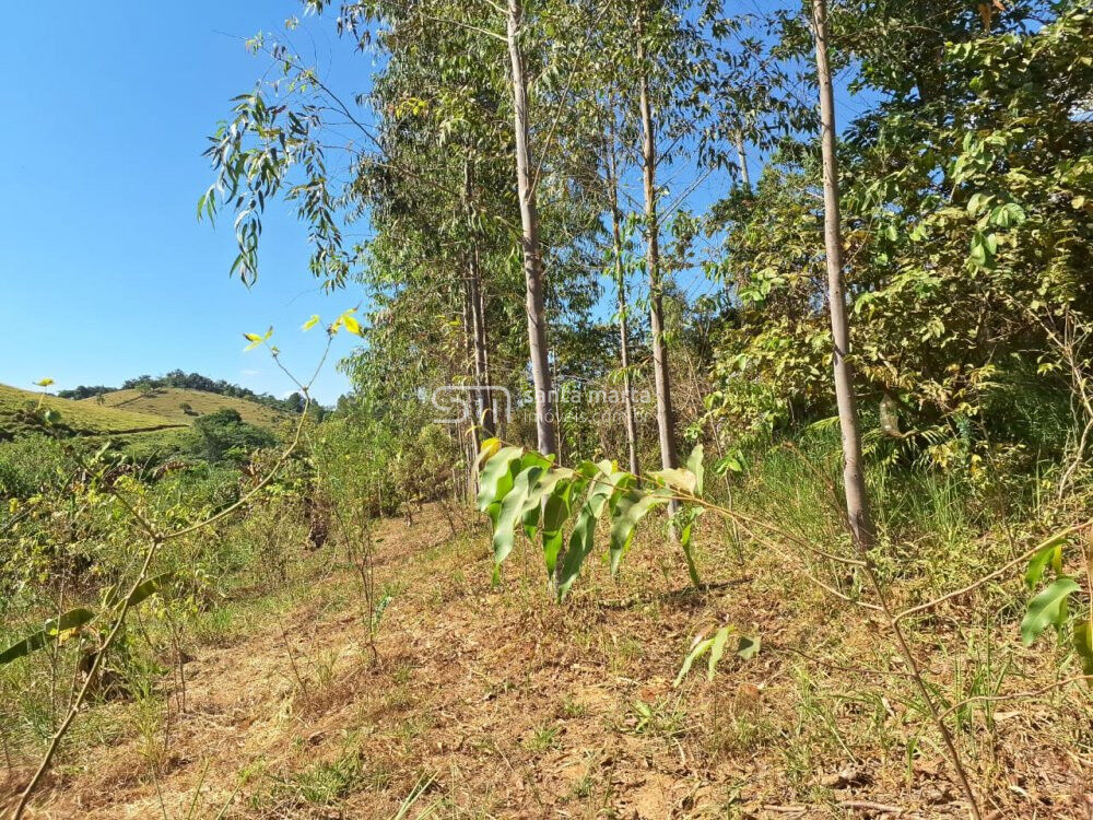 Sítio à venda, 280m² - Foto 19