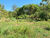 Sítio, 2 hectares - Foto 11