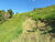 Sítio, 2 hectares - Foto 21