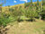 Sítio, 2 hectares - Foto 12