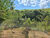 Sítio, 2 hectares - Foto 26