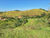 Sítio, 2 hectares - Foto 28