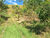 Sítio, 2 hectares - Foto 8