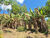 Sítio, 2 hectares - Foto 16