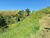 Sítio, 2 hectares - Foto 22